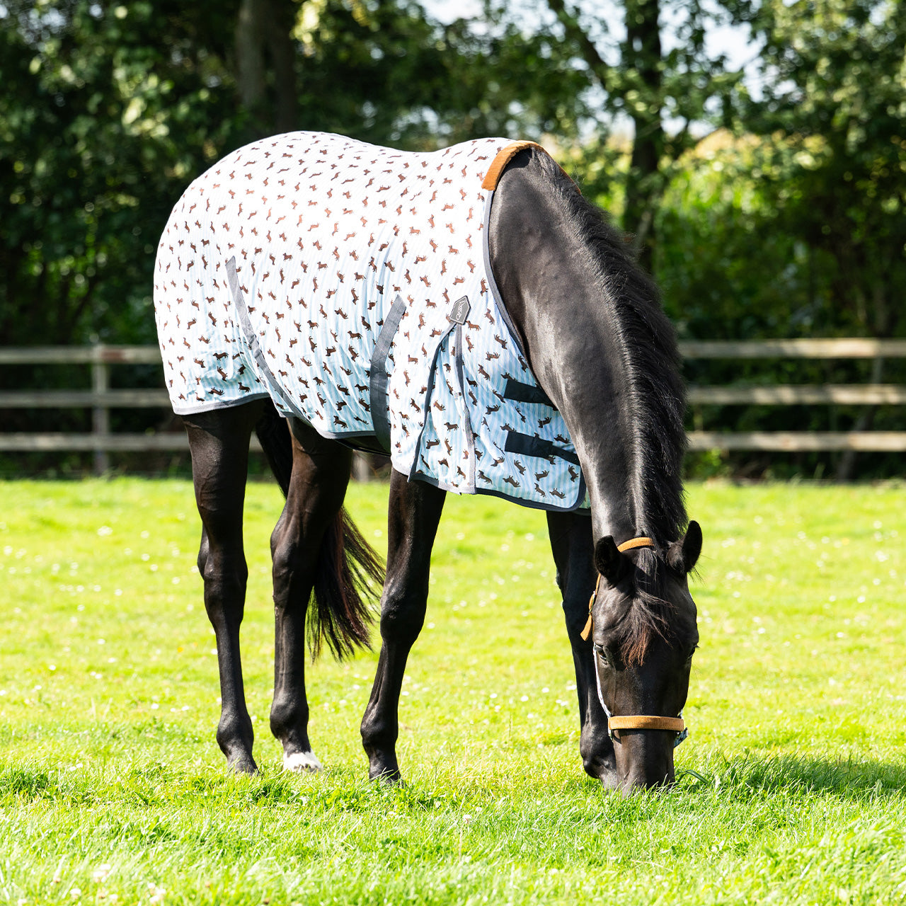 Repelentes de insectos Fly sheet Stable buddy QHP para equitación - vista 9
