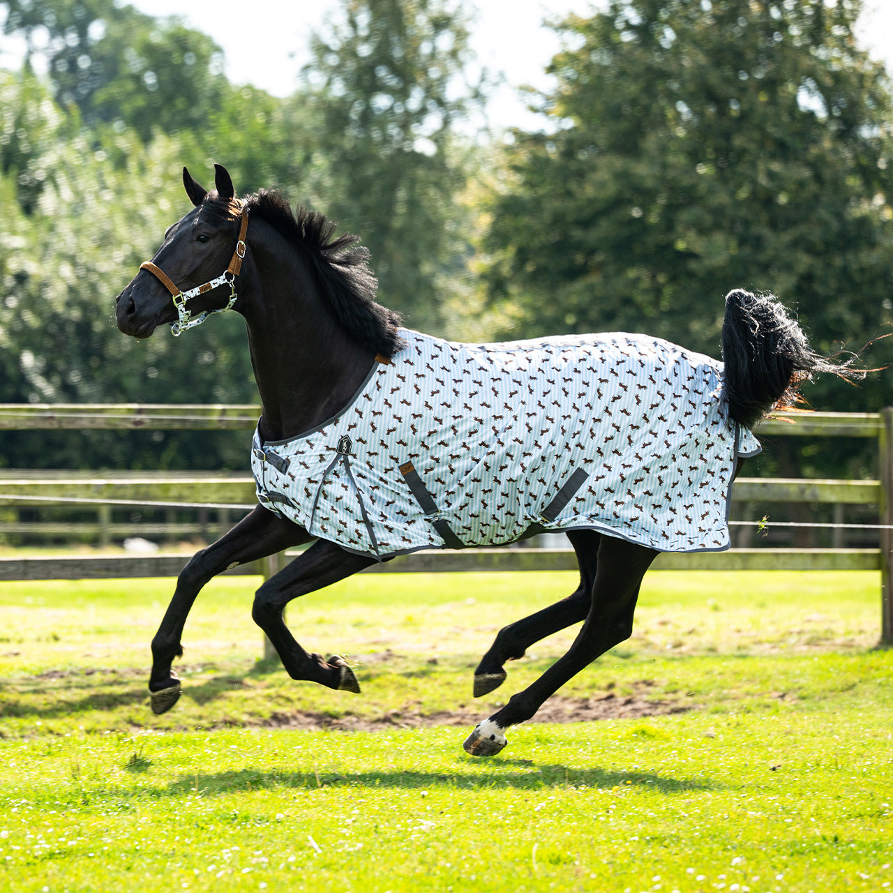 Repelentes de insectos Fly sheet Stable buddy QHP para equitación - vista 11