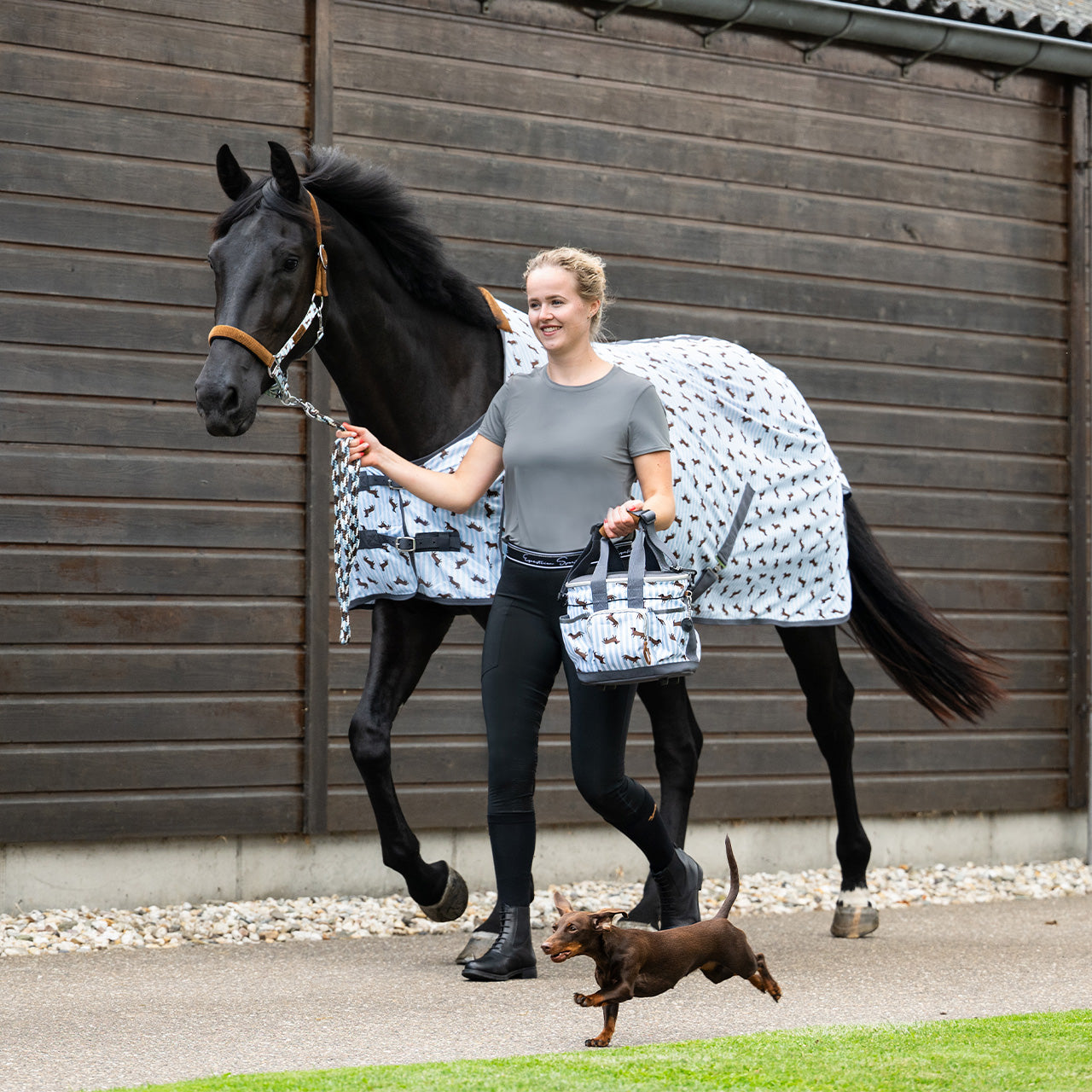 Repelentes de insectos Fly sheet Stable buddy QHP para equitación - vista 13