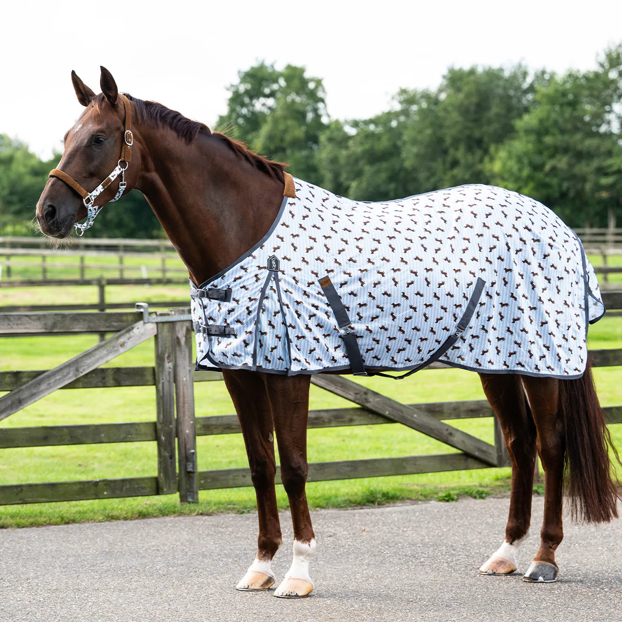 Repelentes de insectos Fly sheet Stable buddy QHP para equitación - vista 18