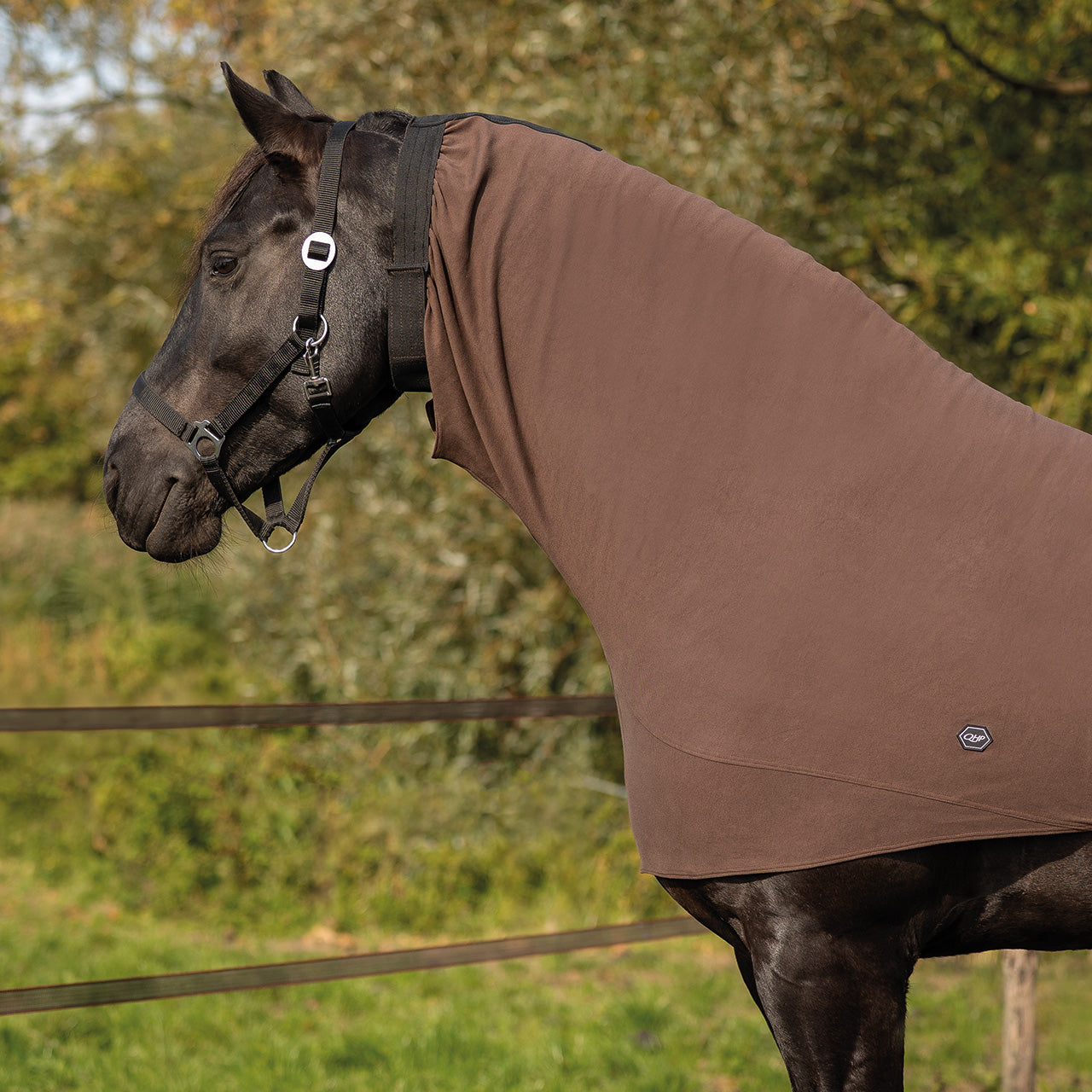 Mantas exteriores Eczema neck cover Big neck QHP para equitación - vista 13