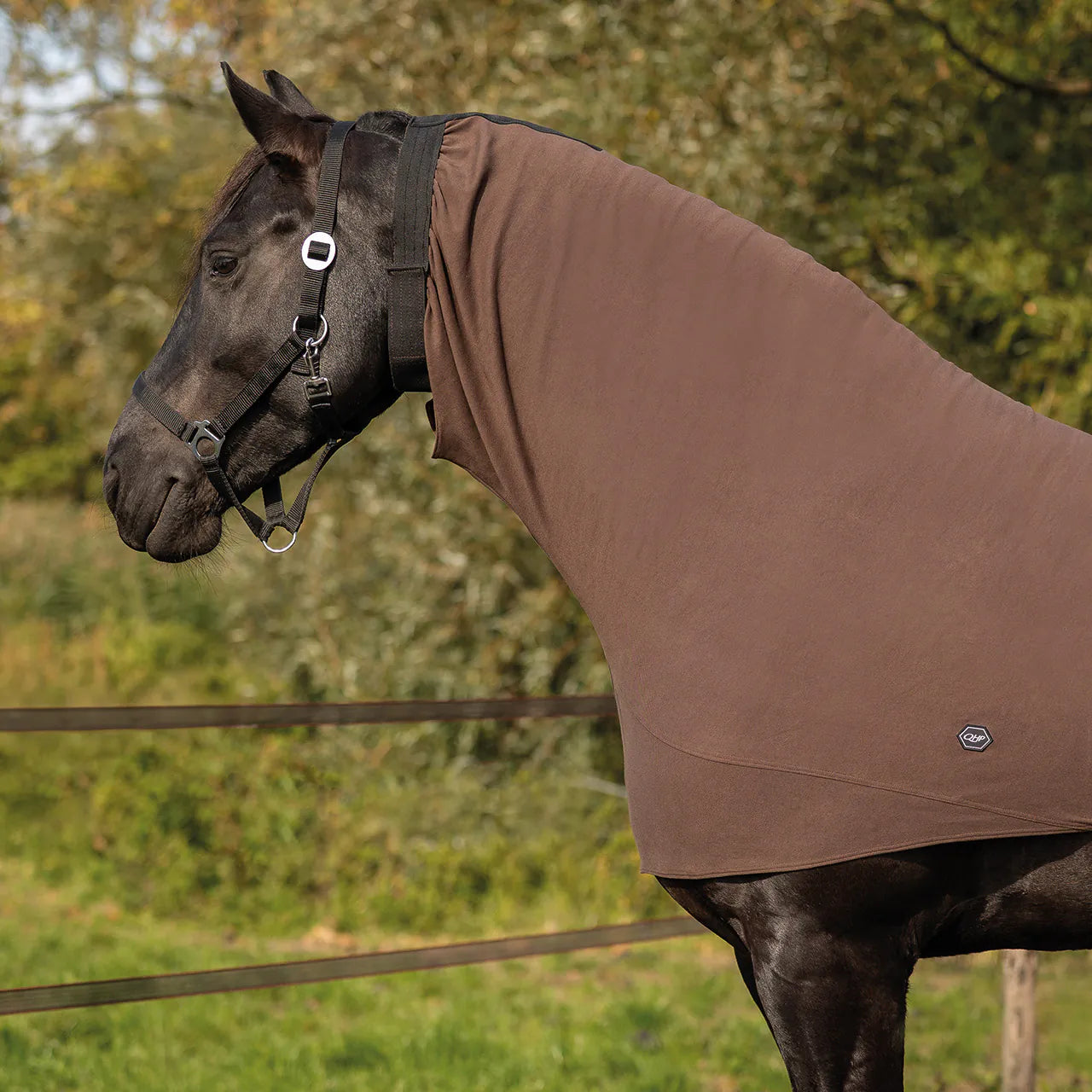 Mantas exteriores Eczema neck cover Big neck QHP para equitación - vista 14