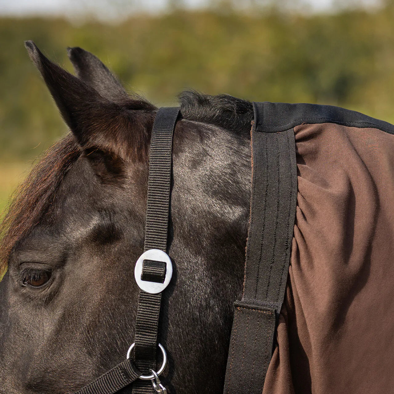 Mantas exteriores Eczema neck cover Big neck QHP para equitación - vista 6