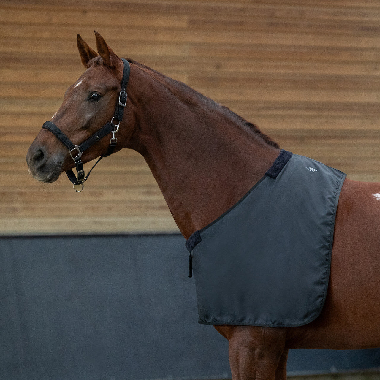 pecho protector suave QHP para equitación - vista 9