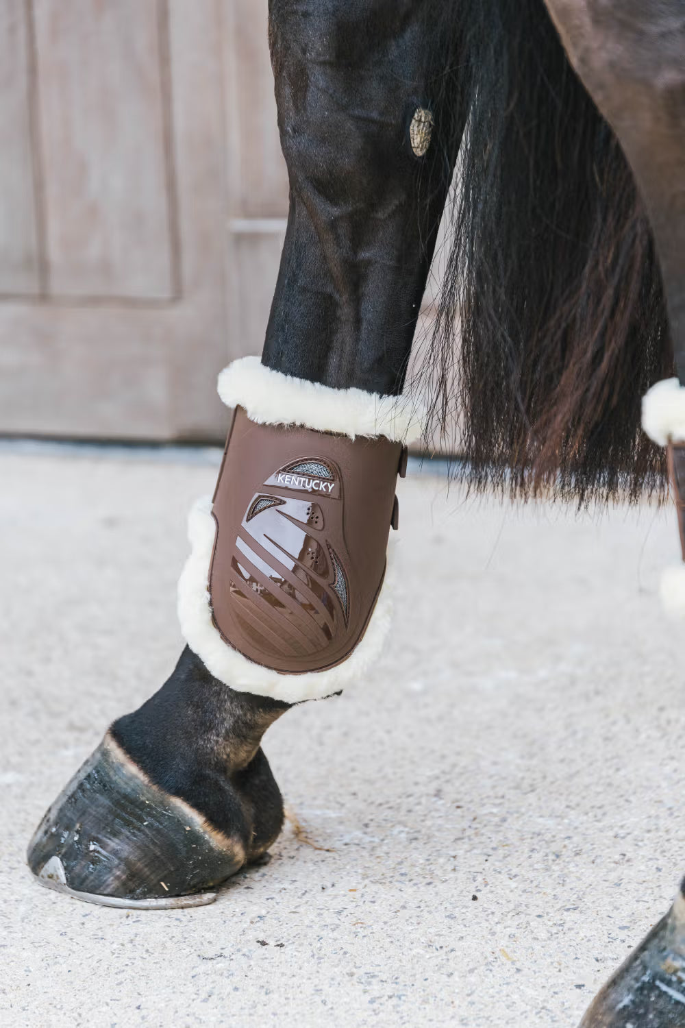 Calzado ecuestre Kentucky Vegan Sheepskin Fetlock Boots Elastic detalle 4