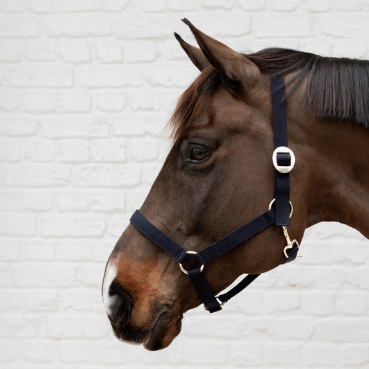 Cabezada de cuadras Kentucky Nylon cabezada de cuadra para equitación