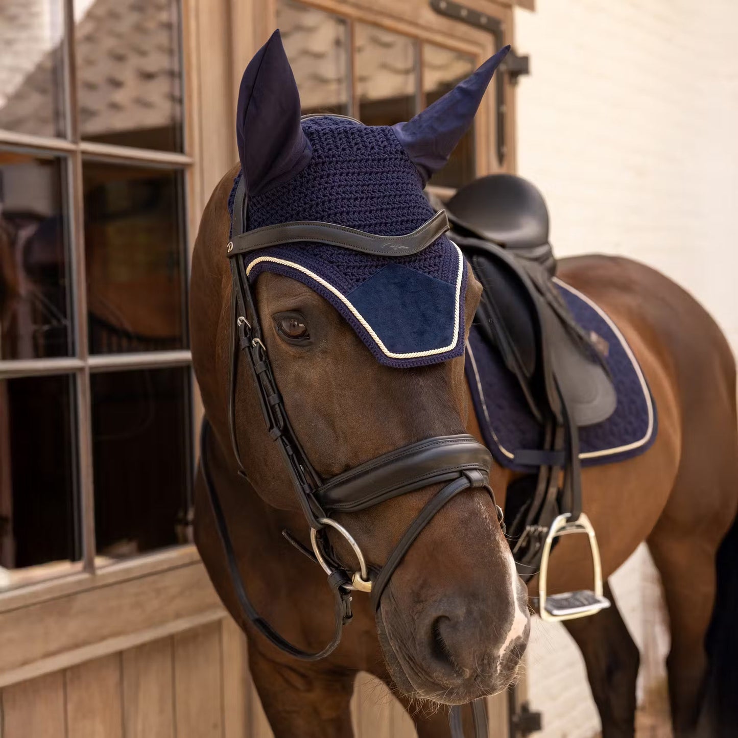Ear Bonnets Kentucky Ear Bonnet Wellington Velvet detalle 3