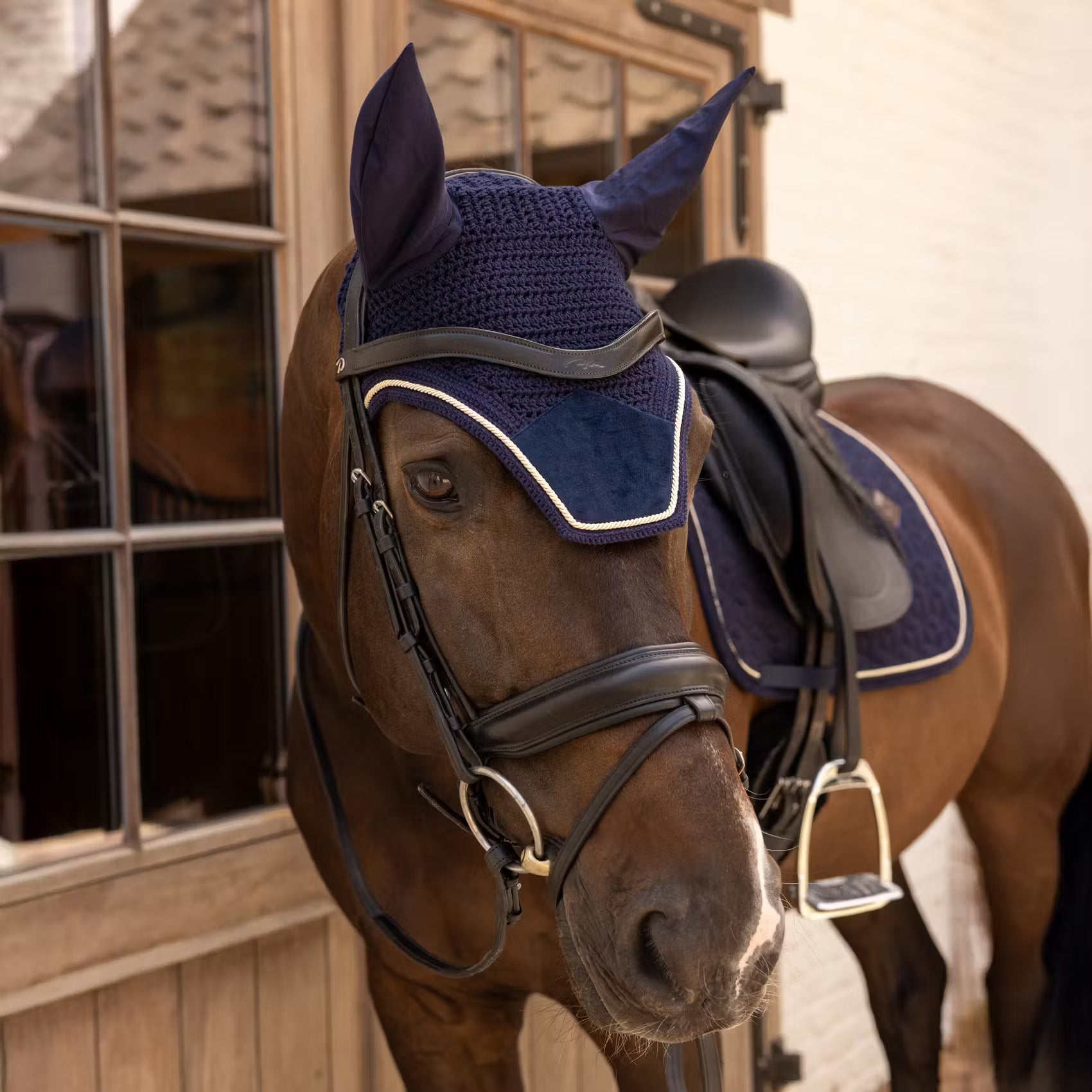 Ear Bonnets Kentucky Ear Bonnet Wellington Velvet detalle 3