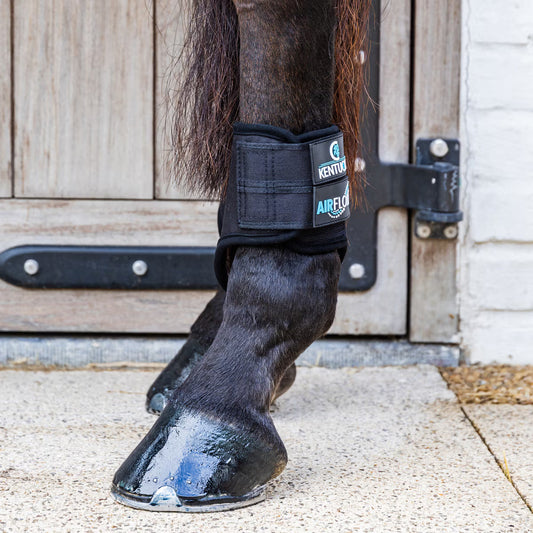 Calzado ecuestre Kentucky Eventing Boots 3D Air Flow Skin Friend Hind Short para equitación