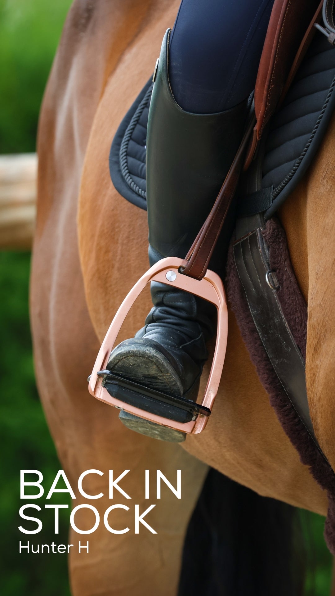 Estribo Hunter H Flex-On para equitación - vista 3