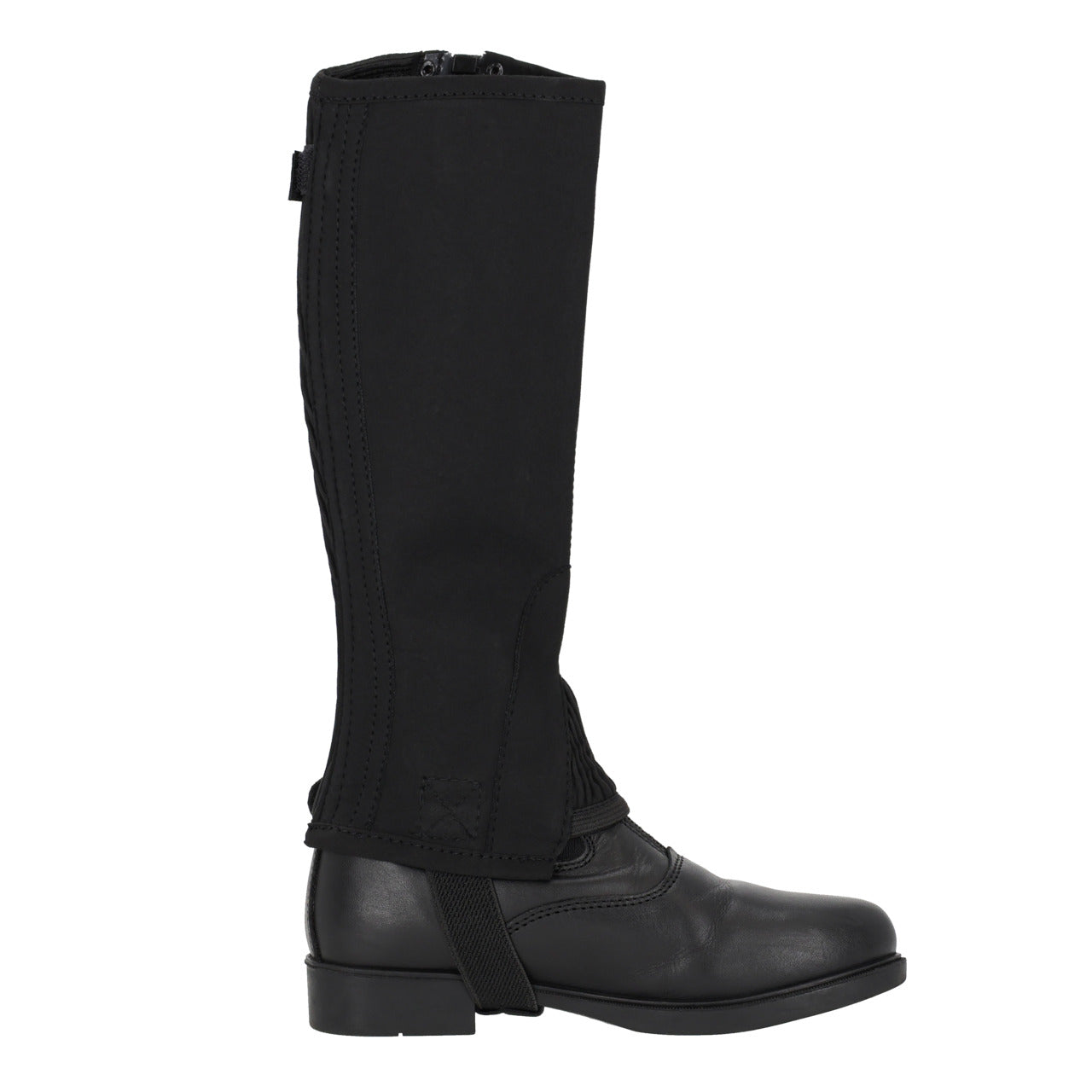 Accesorio ecuestre Chap Suede QHP