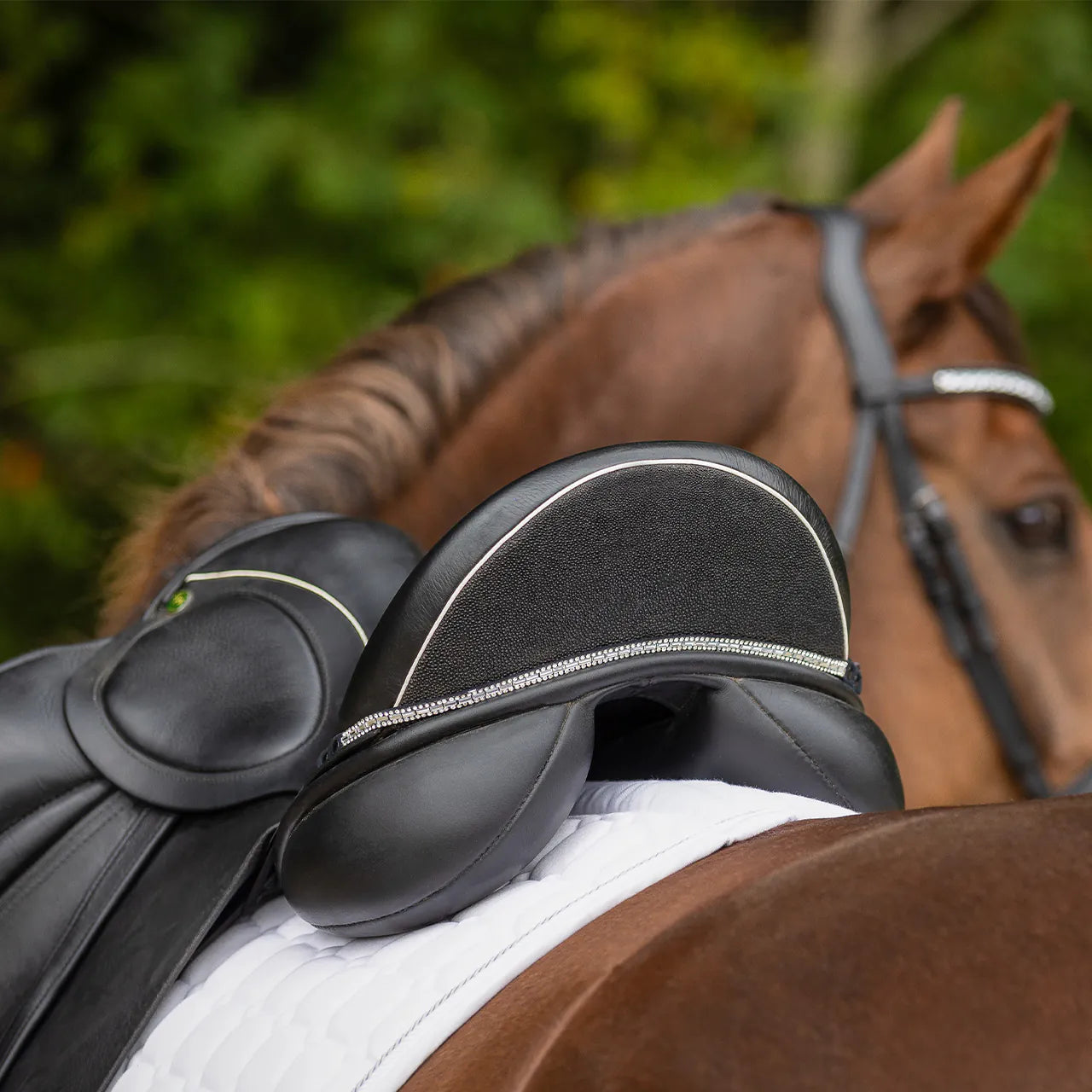 Accesorio ecuestre Silla jewel Brittany QHP para equitación - vista 2