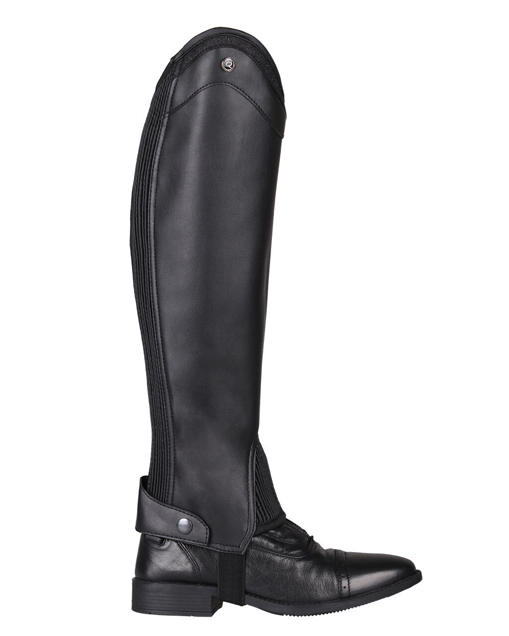 Polainas QHP Chap Shimmer Adult para equitación