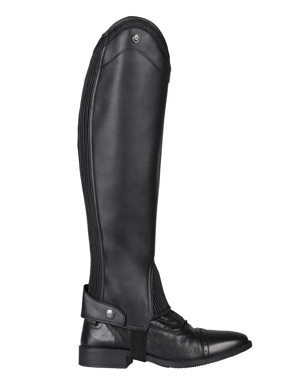 Polainas QHP Chap Shimmer Adult para equitación - vista 2