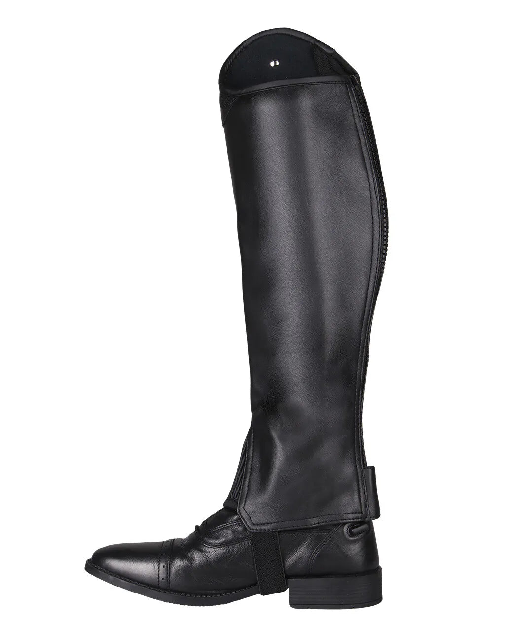Polainas QHP Chap Shimmer Adult para equitación - vista 14