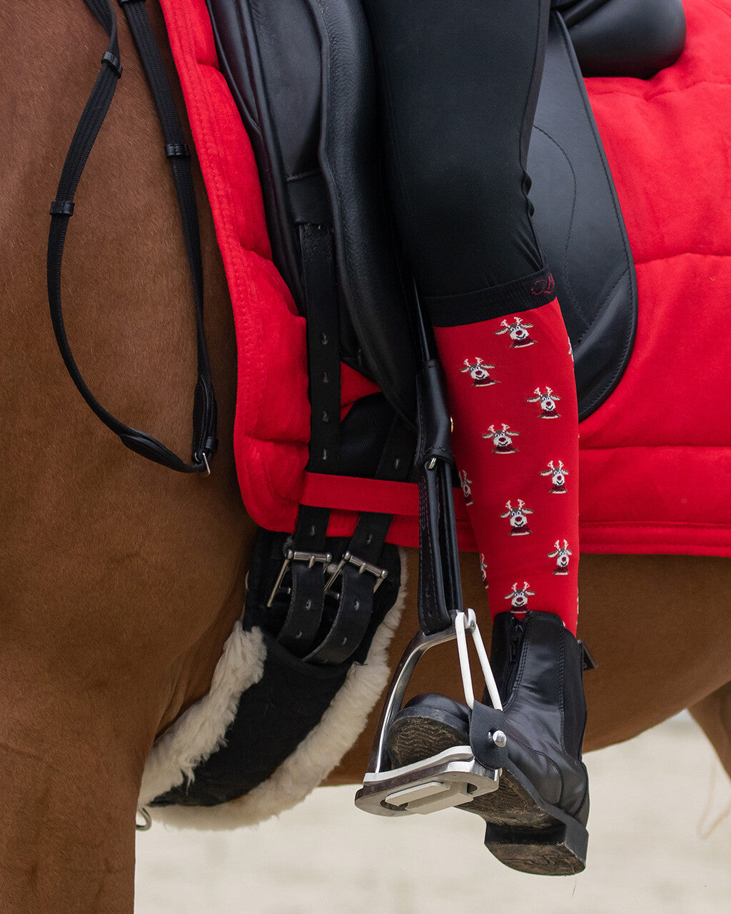 Knee stockings Christmas (2-pack) QHP para equitación - vista 16