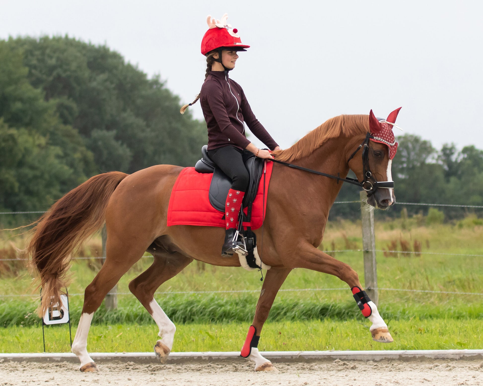 Knee stockings Christmas (2-pack) QHP para equitación - vista 19