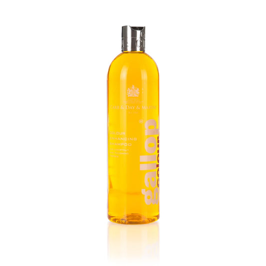 Champú Gallop® Castaños y Palominos – Carr & Day & Martin