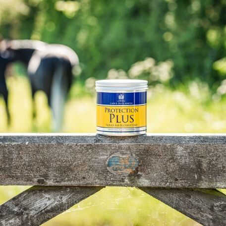 Crema protectora CARR & DAY & MARTIN - Protection Plus