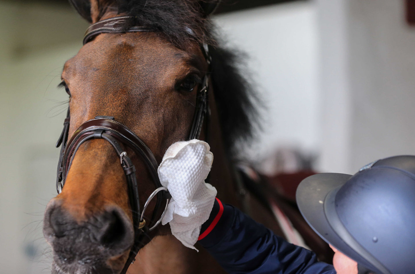 Guantes de limpieza Belvoir® CARR & DAY & MARTIN