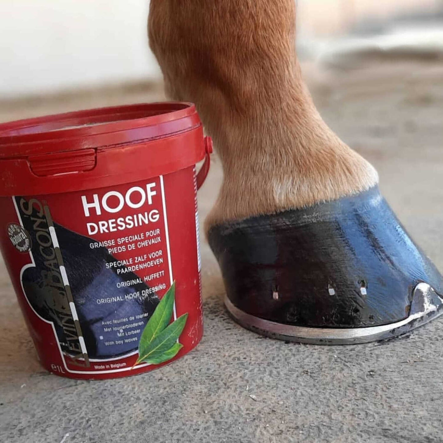Grasa para cascos KEVIN BACON'S - Hoof Dressing Original