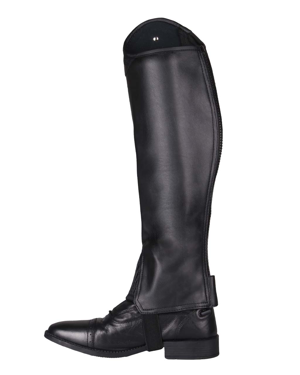 Polainas QHP Chap Shimmer Adult low wide para equitación - vista 9