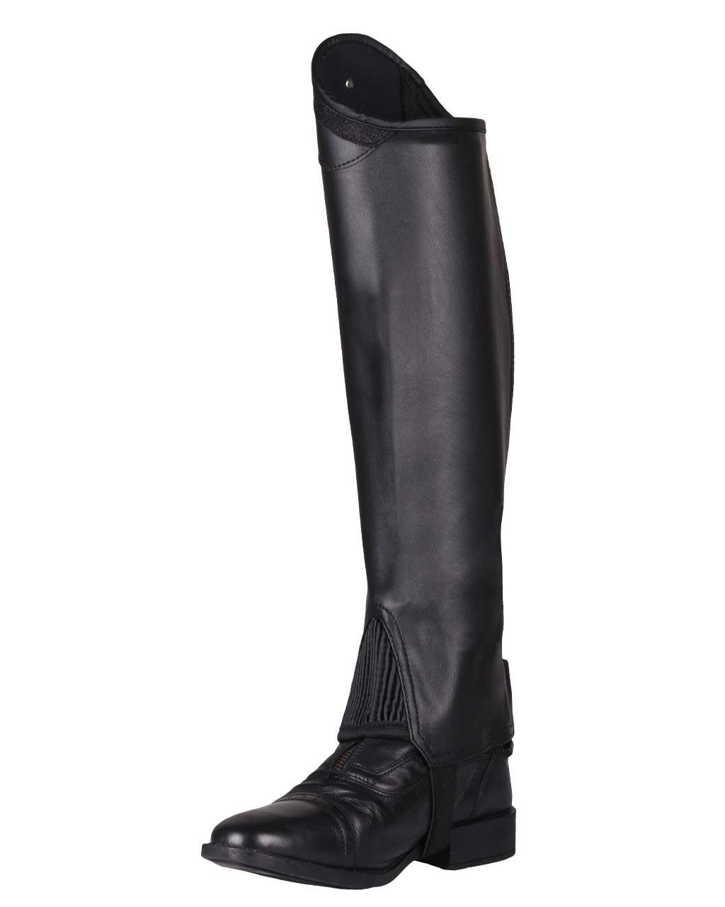 Polainas QHP Chap Shimmer Adult low wide para equitación - vista 11