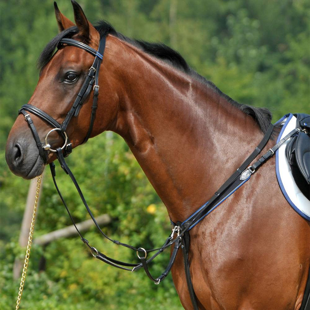 Breastplates Stübben Elastic Breastplate vista principal