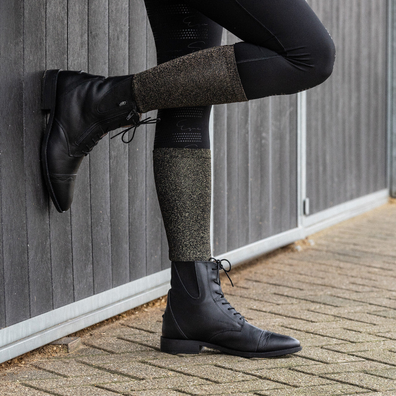 Knee stockings gift box (2-pack) QHP para equitación - vista 3