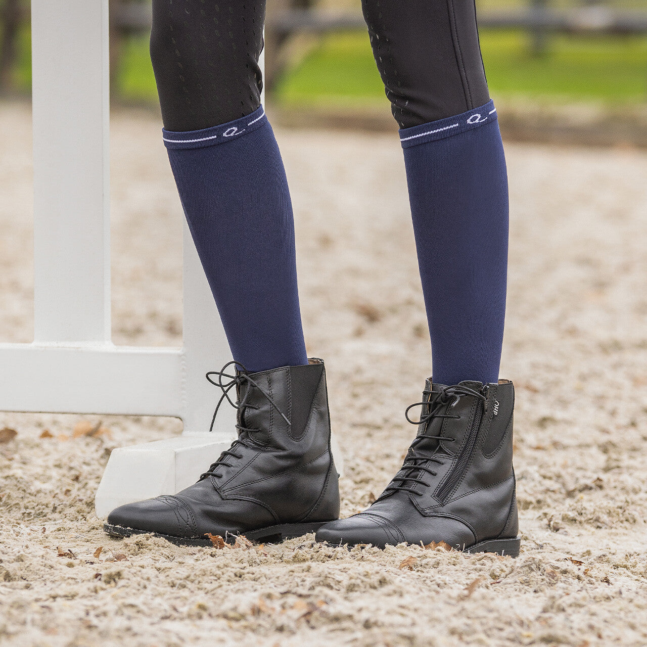 Calcetines Show socks (3-pack) QHP para equitación - vista 3
