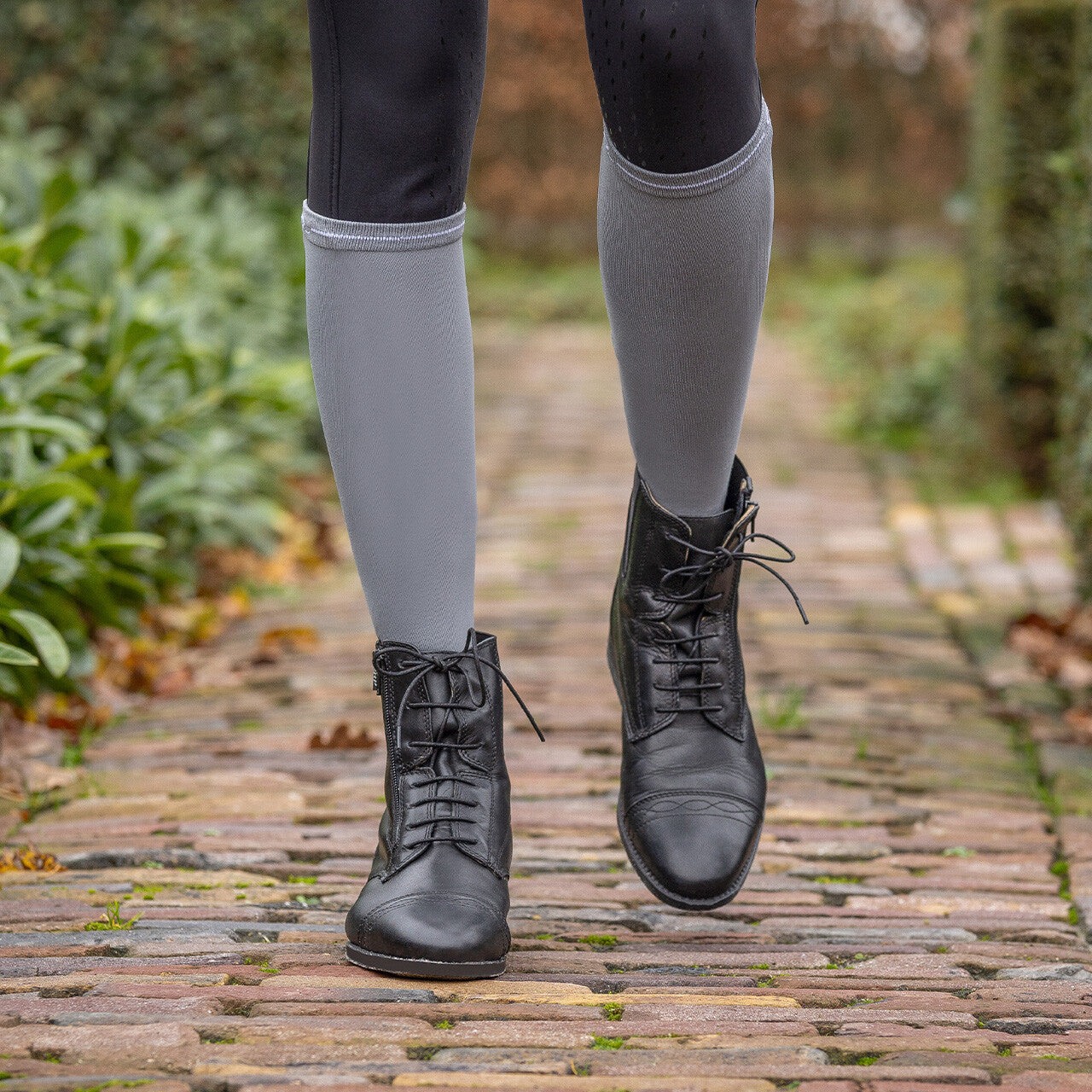 Calcetines Show socks (3-pack) QHP para equitación - vista 24