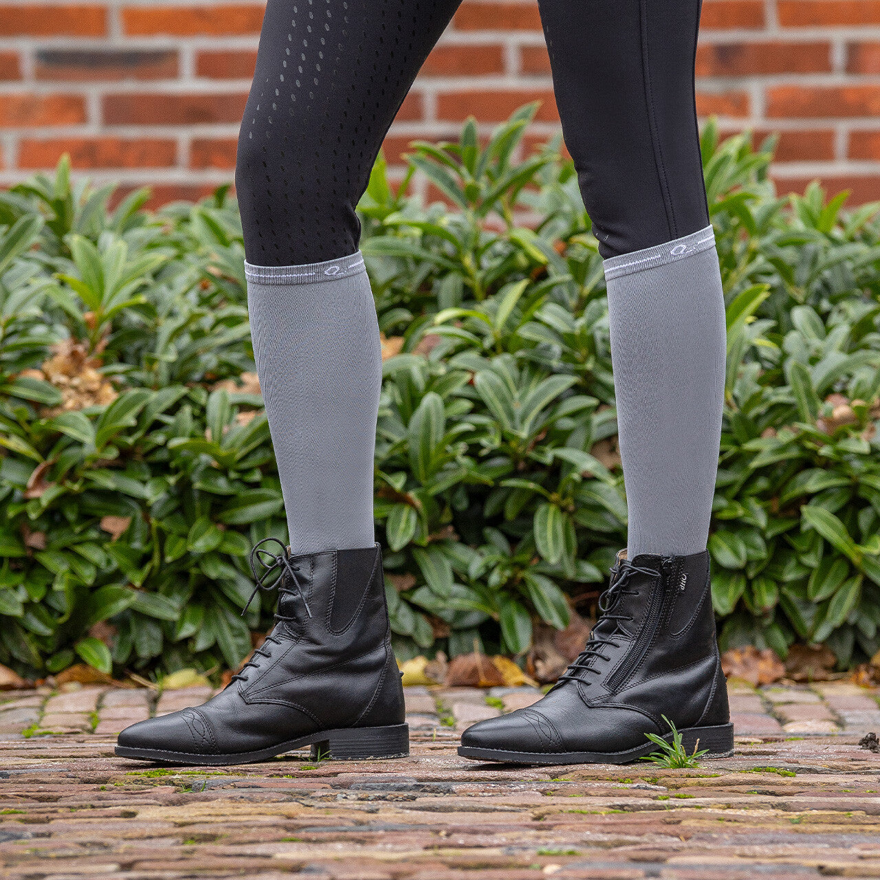 Calcetines Show socks (3-pack) QHP para equitación - vista 25