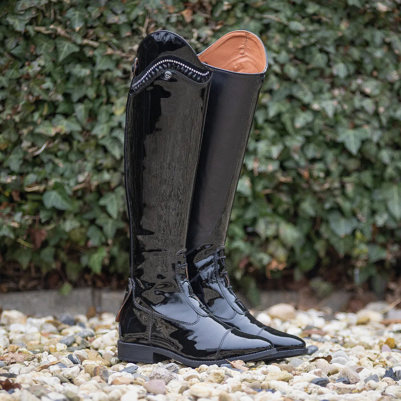 Botas de equitación QHP Lamira Adult wide para equitación - vista 4