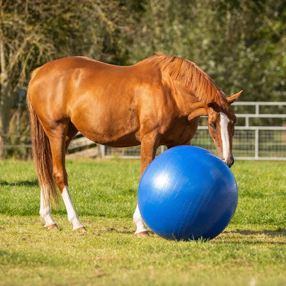 Decoración Horse football QHP para equitación - vista 6