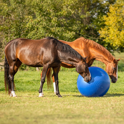 Accesorio ecuestre Caballo football QHP para equitación - vista 17