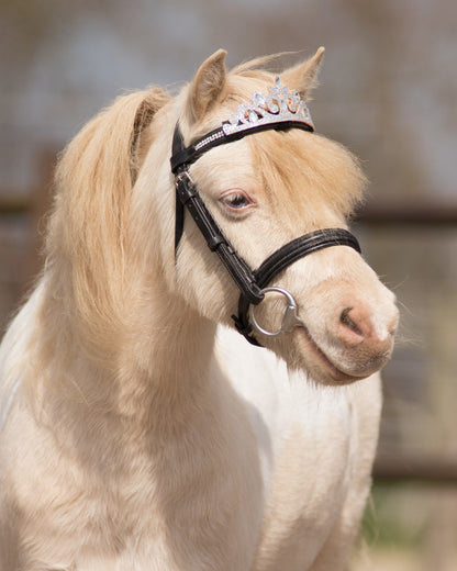 Accesorio ecuestre Testera caballo QHP para equitación - vista 16