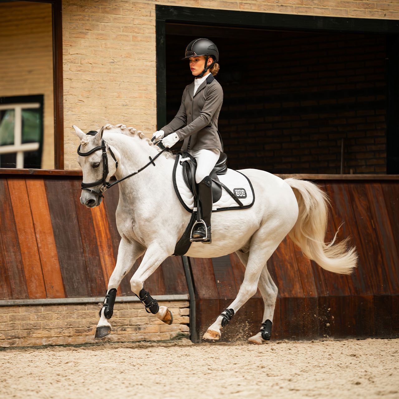 Chaqueta Competition jacket Juliet Junior QHP para equitación - vista 7