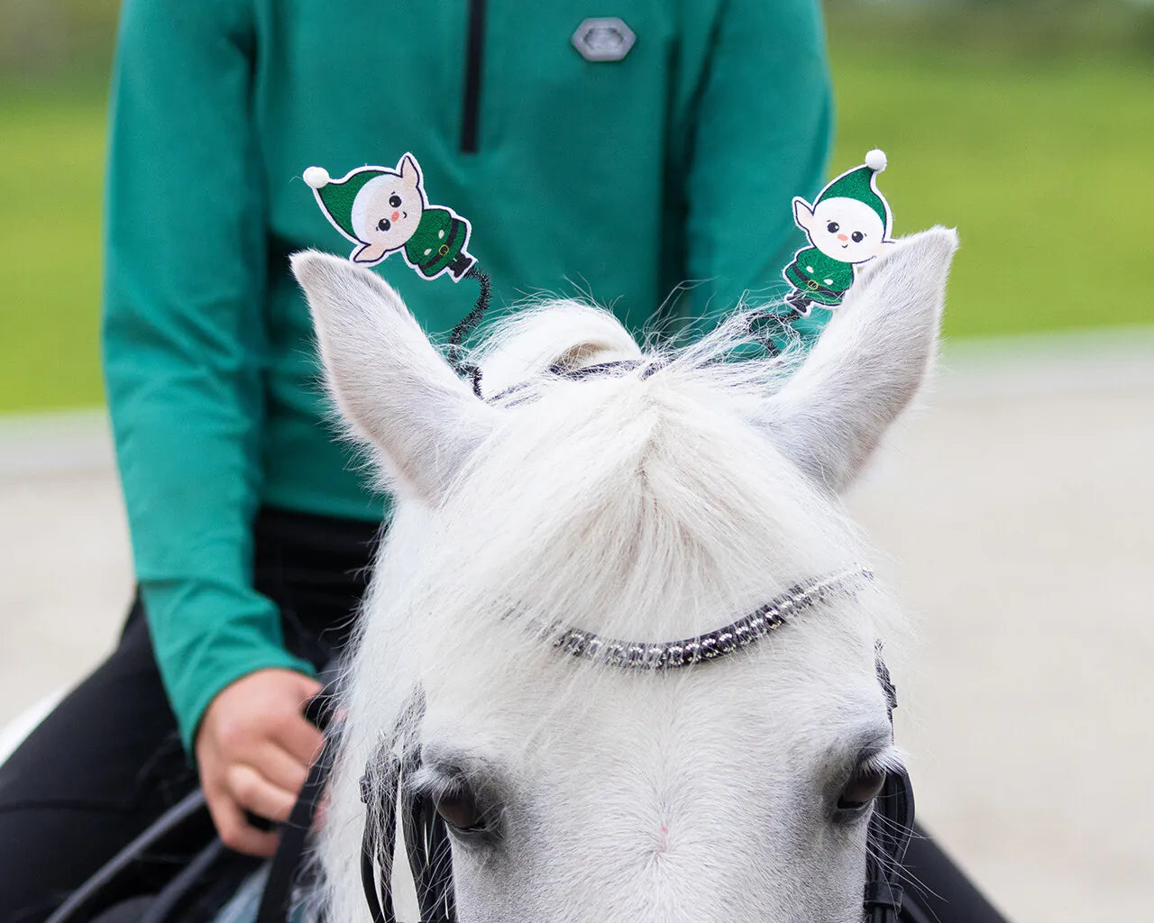 Cabezadas testera pieza accessory Christmas QHP para equitación - vista 2
