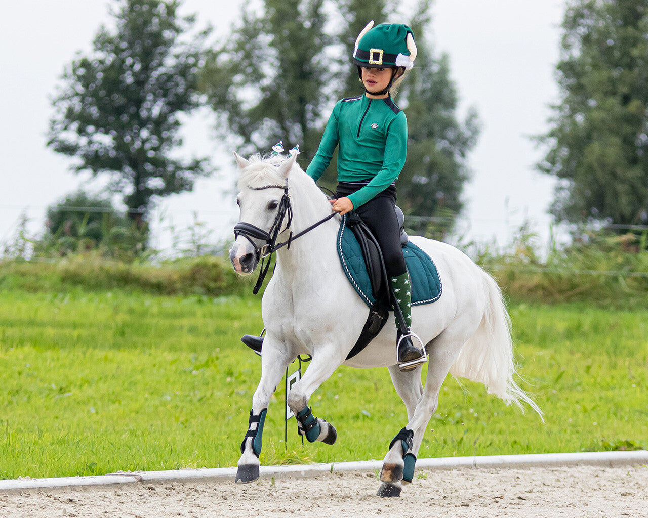 Cabezadas testera pieza accessory Christmas QHP para equitación - vista 15