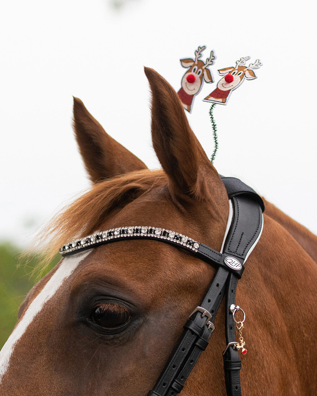 Cabezadas testera pieza accessory Christmas QHP para equitación - vista 7