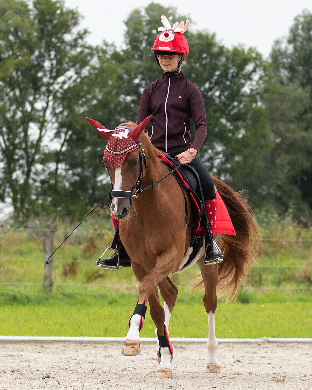 funda para casco Christmas QHP para equitación - vista 28
