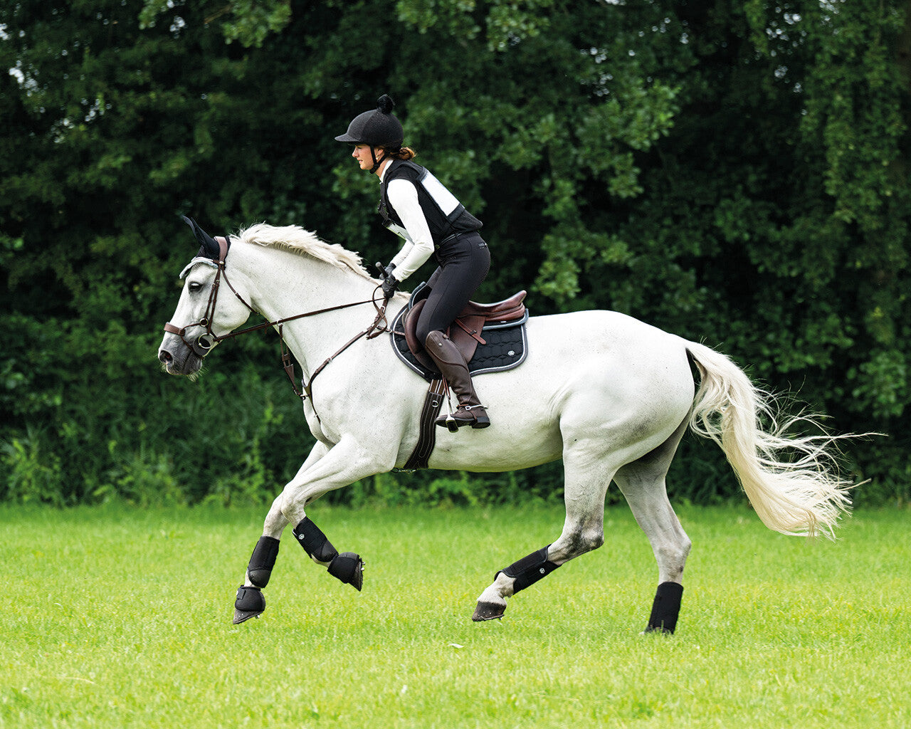 Body protector cover Glitter QHP para equitación - vista 40
