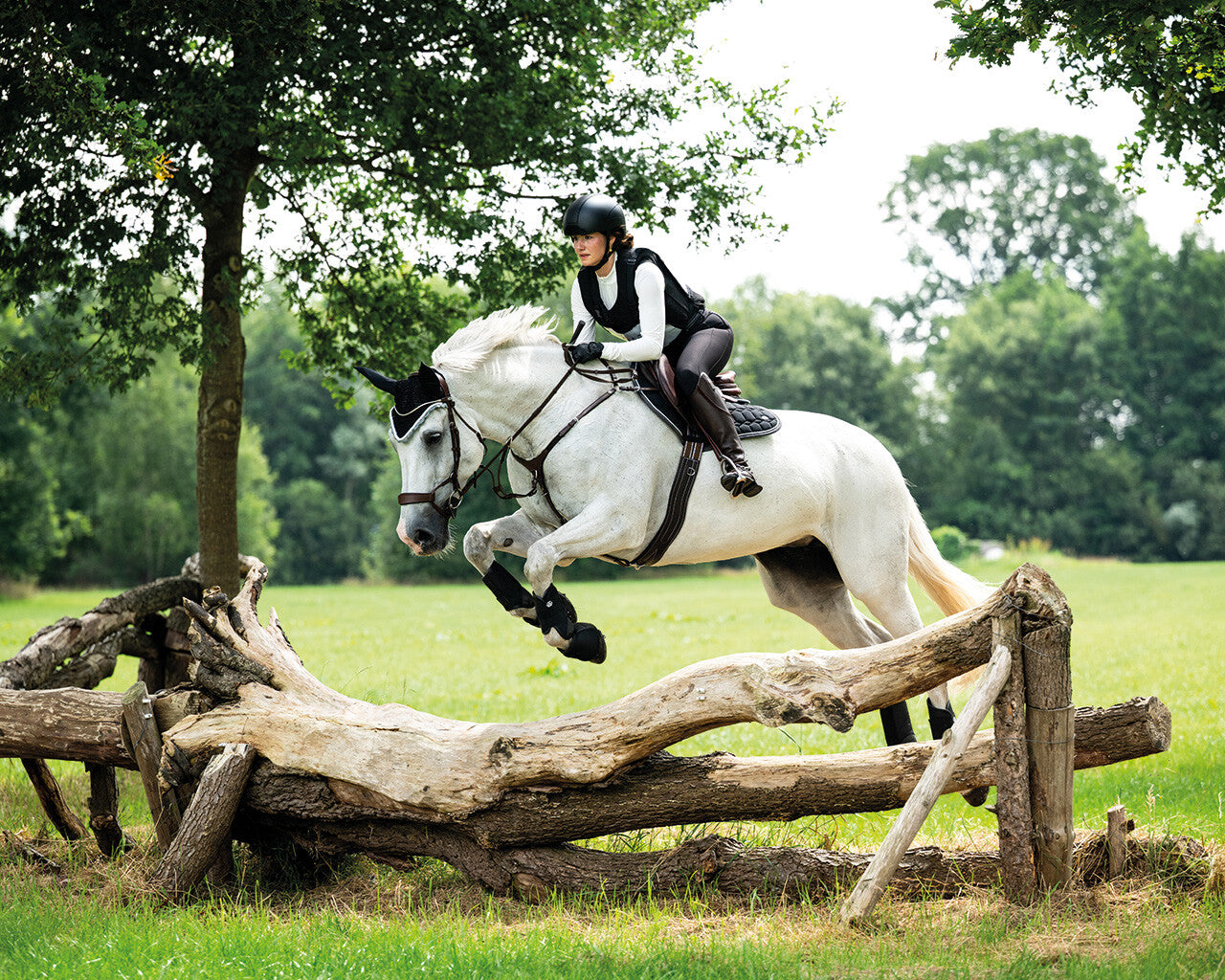 Cascos Safety helmet Dallas-XC QHP para equitación - vista 17