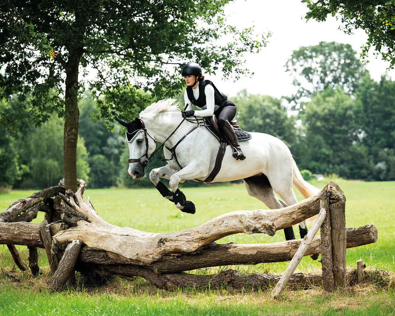 Cascos Safety helmet Dallas-XC QHP para equitación - vista 18