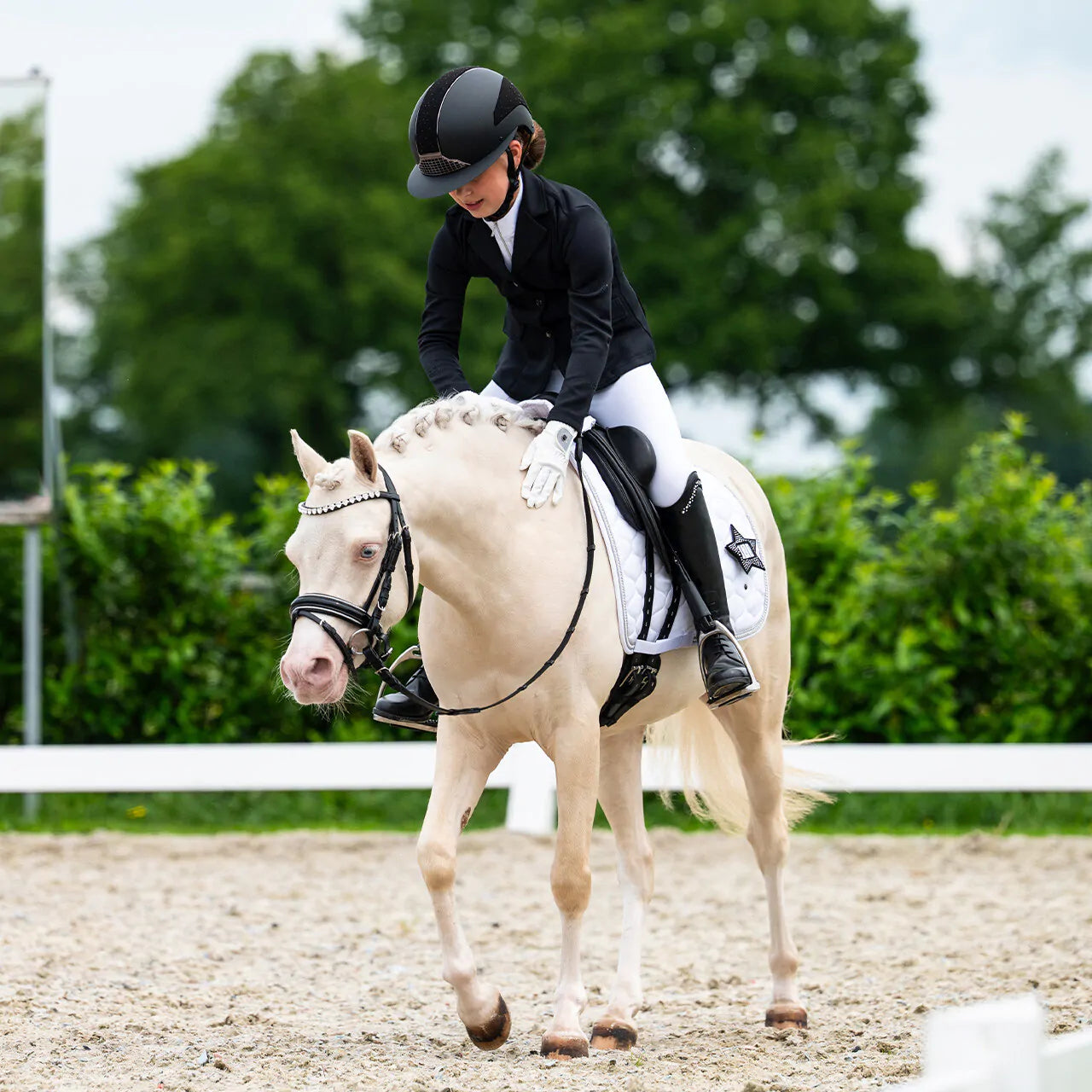 Chaqueta Competition jacket Jipp Junior QHP para equitación - vista 14
