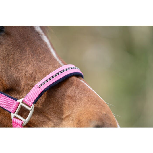 Cabezada set con mosquet. -Crystal- acolchado HKM para equitación - vista 2