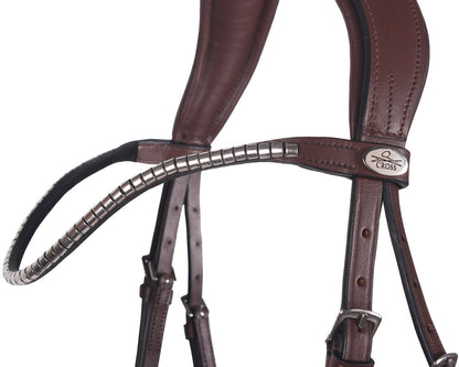 Cabezada inglesa Cabezada inglesa Sedna incl. reins QHP para equitación - vista 5