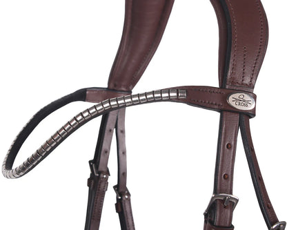 Cabezada inglesa Cabezada inglesa Sedna incl. reins QHP para equitación - vista 6