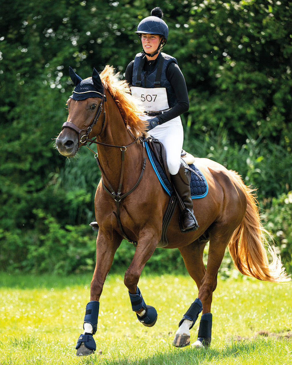 Cabezada inglesa Cabezada inglesa Sedna incl. reins QHP para equitación - vista 13