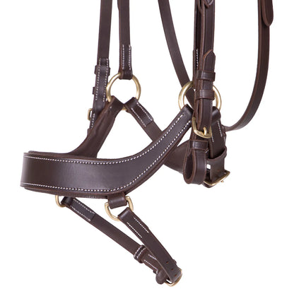 Cabezada inglesa Cabezada inglesa Devi incl. reins QHP para equitación - vista 4